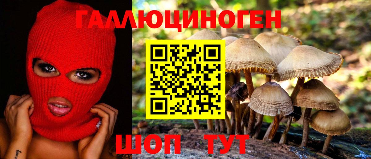 Галлюциногенные грибы Cubensis Тихорецк
