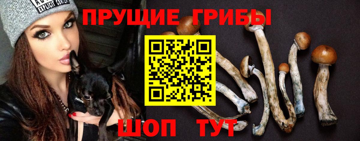 Псилоцибиновые грибы Magic Shrooms  дарнет шоп  Тихорецк  Вход с VPN 