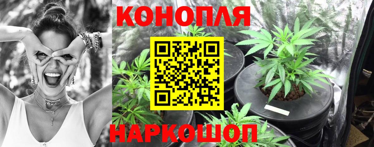 Марихуана LSD WEED  Конопля Bruce Banner  Тихорецк  Вход с VPN  Конопля индика  Канабис VHQ 